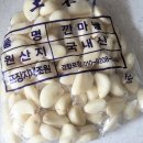 [올웨이즈] 올팜 농작물 수확 후기 👉🏻 두번째 마늘 🧄