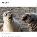 과천칼국수 이미지