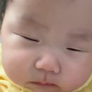 250313 목 - 오늘저녁은 치킨이닭!!