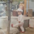 포레스타스프링