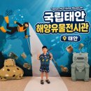태안해양문화진흥원 | ✨️태안여행 코스 국립태안해양유물전시관 무료입장 주차 정보