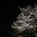 해산아구찜 이미지
