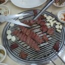 우가우가 이미지