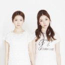 스텔라 이미지