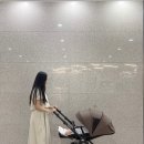 알로하이 | 신생아 유모차 추천 1초 오토폴딩 리안알로 절충형 유모차