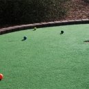 유니블렌드 카카오 검색결과