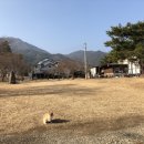 복골온천 애견스파 이미지