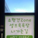 개떼월드 이미지