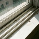 1079 | 가정집청소 후기, 주방친구들 통해 안심하고 맡겼어요