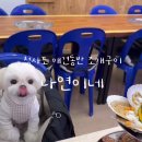 나연이네식당 이미지