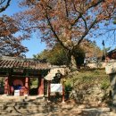 남해-233 이미지