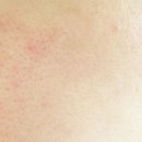 프롬제주 이미지