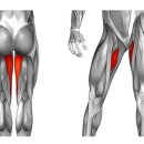랩핏피트니스 이미지