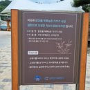 옥천리삼층석탑및유물일괄 이미지