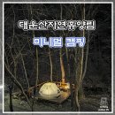 양산 대운산 자연휴양림 미니멀 캠핑 후기 (사이트 정보)