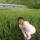 성일농장2 이미지