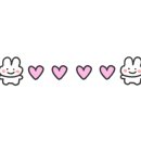 단양패러캠핑장 이미지