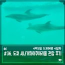 도쿄 시나가와아쿠아리움 위치 운영시간, 시나가와수족관 방문 후기
