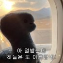 31140-5-27-5 | 용띠맘🦖👶🏻프로젝트: 강남차 시험관 1차 종결 - 배아 폐기