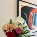 파인힐즈 이미지