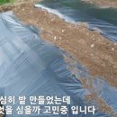 정용목장 이미지