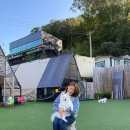 사나래글램핑장 이미지