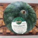 까망애플수박 후기｜칼로리, GI지수, 자르는 법과 보관법까지 한눈에 정리!