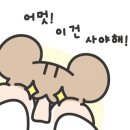 영패션 이미지