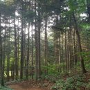 상수리PC 이미지