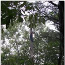 SK주유소 이미지