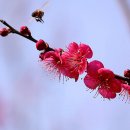수영구 장애인협회 이미지
