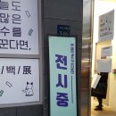 아도니스프로젝트 이미지