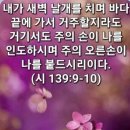 그리스도 대속물 출애굽기13 이미지