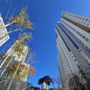 감일시티공인중개사사무소 이미지