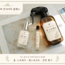 아로마 인사이트 카드로 찾은 나만의 향, 룸스프레이·펄스포인트·천연향수 만들기 클래스 후기