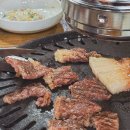 고우니.제주를담다