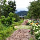 거창창포원 이미지