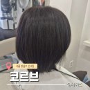 가로수길미용실 코르브 수지 실장 전체염색 오묘한 색 만족 후기