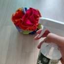 펫리빙 | 강아지 살균소독 제품 추천 내돈내산! 클로펫 살균수(클로리빙도 있어요)