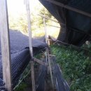 종아농장 이미지