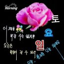 토요일 이미지