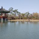 한밭수목원 동원 이미지