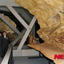 라스코동굴벽화 광명 동굴전 이미지