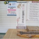 법이산 티스토리