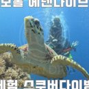 에덴셀프 이미지
