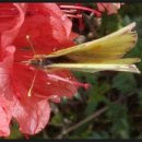 낙동강변20 이미지