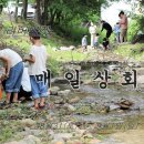 거미상회 이미지