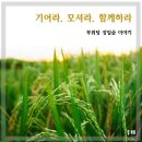 ＜장일순 평전 : 무위당의 아름다운 삶＞ 김삼웅,(두레, 2019) 이미지