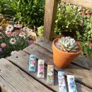 꽃담민박 이미지