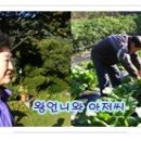 춤추는꽃동네 이미지